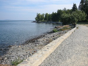 Shore Path